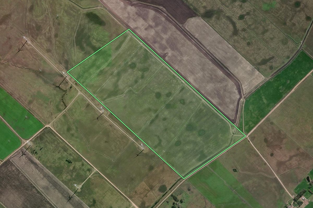 Imagem de satélite do imóvel rural em Chuí (RS), com o contorno declarado no CAR desenhado por cima.