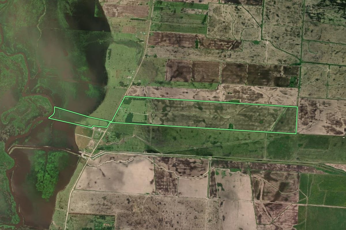Imagem de satélite do imóvel rural em Chuí (RS), com o contorno declarado no CAR desenhado por cima.