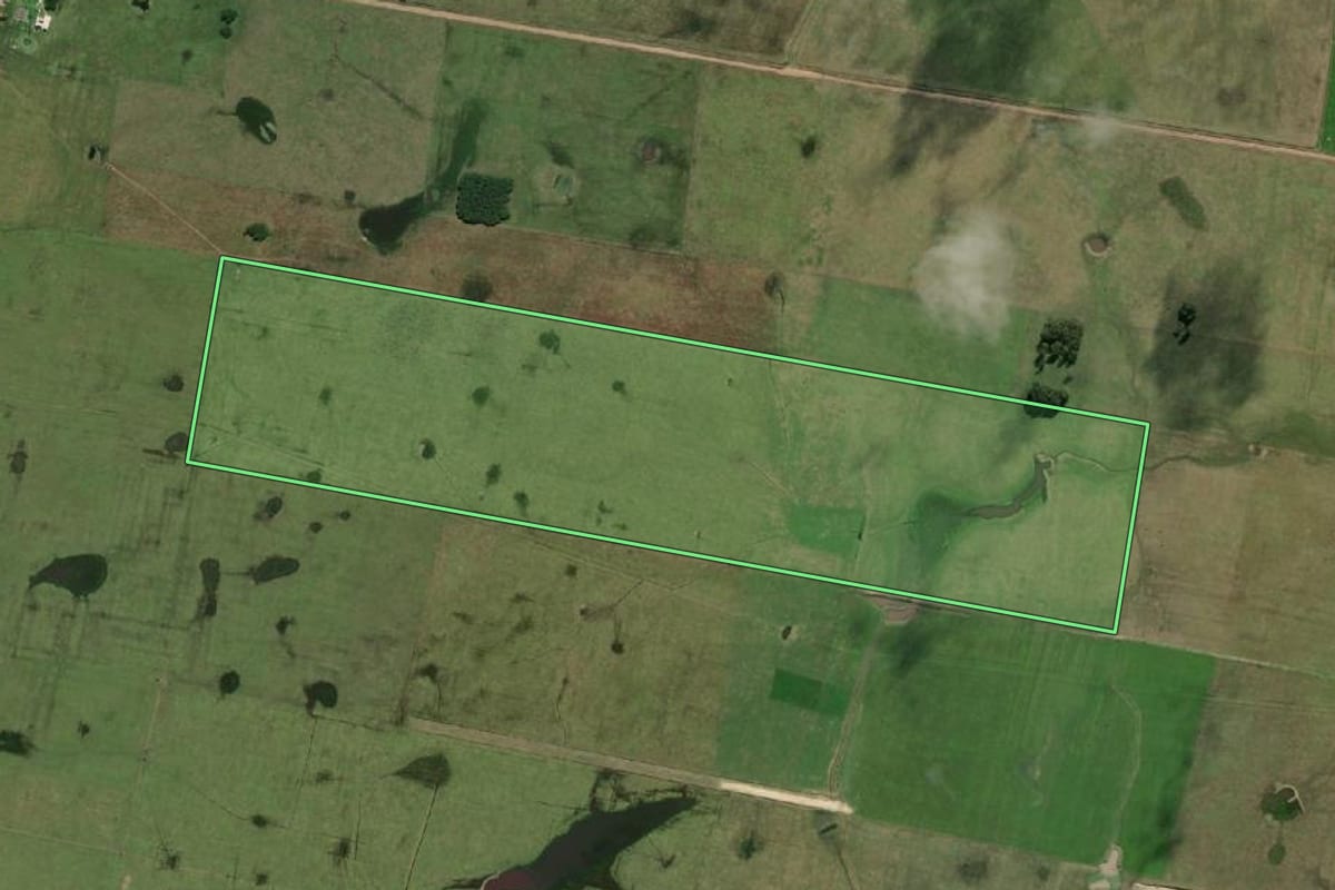 Imagem de satélite do imóvel rural em Chuí (RS), com o contorno declarado no CAR desenhado por cima.