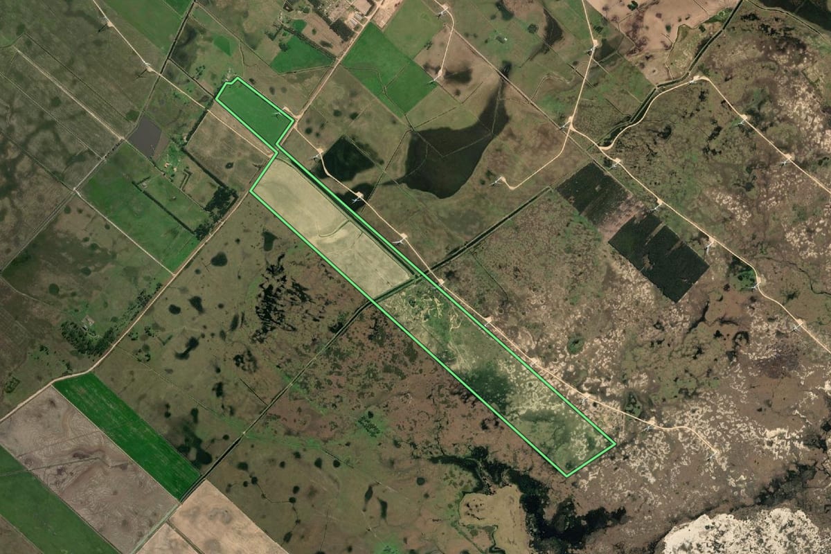 Imagem de satélite do imóvel rural em Chuí (RS), com o contorno declarado no CAR desenhado por cima.