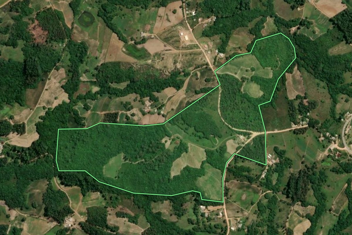 Imagem de satélite do imóvel rural em Chuvisca (RS), com o contorno declarado no CAR desenhado por cima.