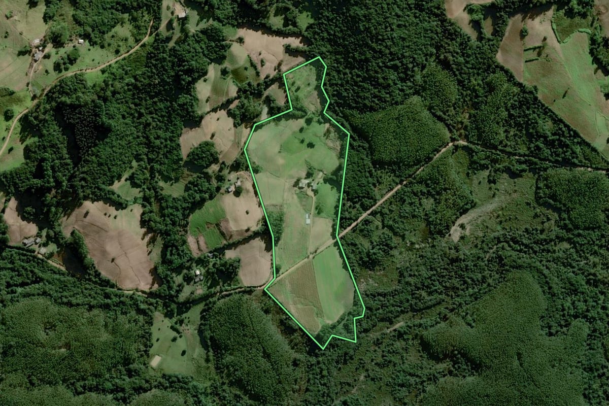 Imagem de satélite do imóvel rural em Chuvisca (RS), com o contorno declarado no CAR desenhado por cima.