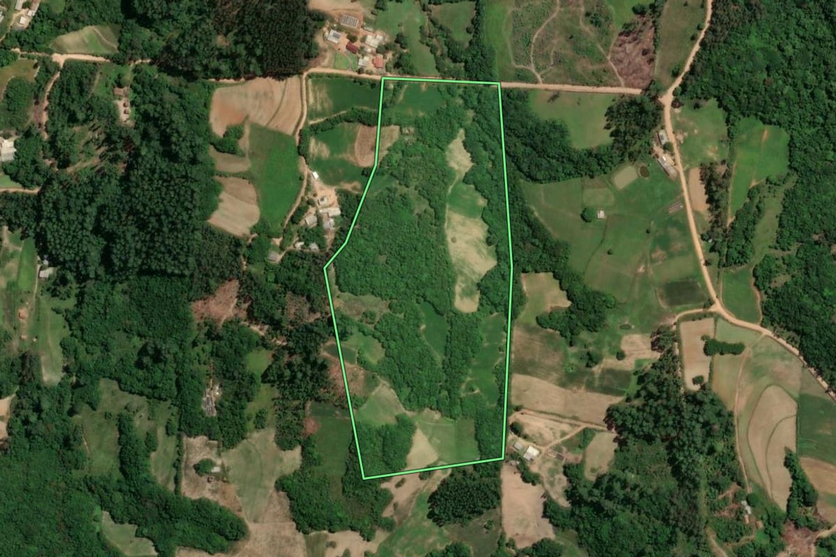 Imagem de satélite do imóvel rural em Chuvisca (RS), com o contorno declarado no CAR desenhado por cima.