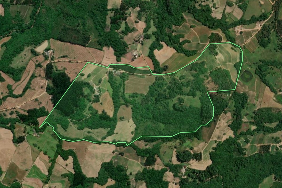Imagem de satélite do imóvel rural em Chuvisca (RS), com o contorno declarado no CAR desenhado por cima.