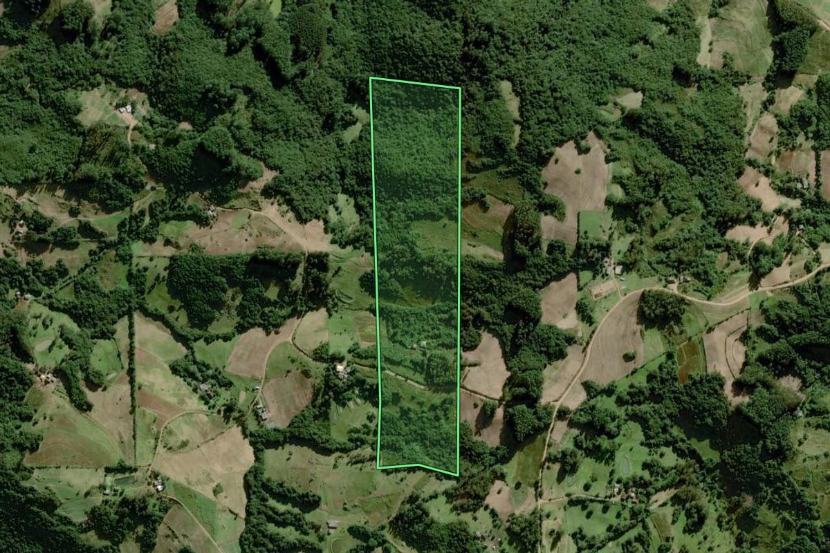 Imagem de satélite do imóvel rural em Chuvisca (RS), com o contorno declarado no CAR desenhado por cima.