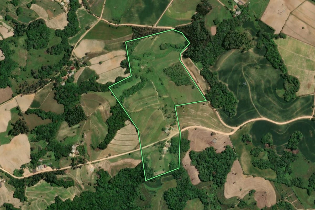 Imagem de satélite do imóvel rural em Chuvisca (RS), com o contorno declarado no CAR desenhado por cima.