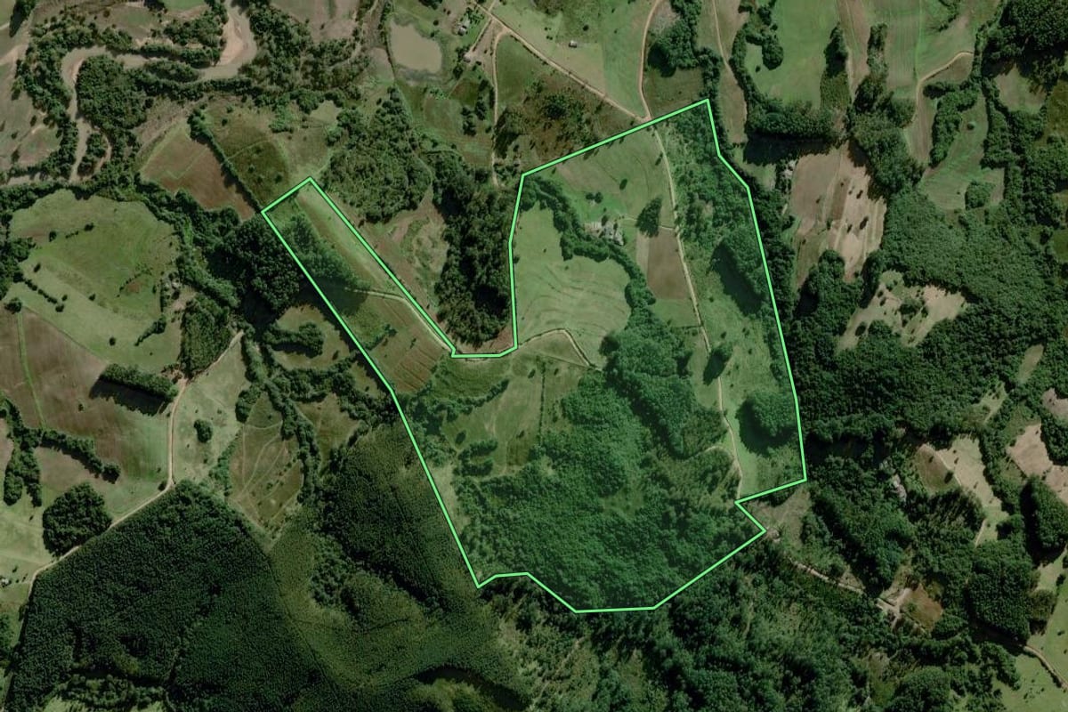 Imagem de satélite do imóvel rural em Chuvisca (RS), com o contorno declarado no CAR desenhado por cima.