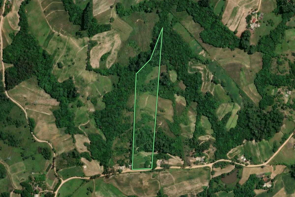 Imagem de satélite do imóvel rural em Chuvisca (RS), com o contorno declarado no CAR desenhado por cima.