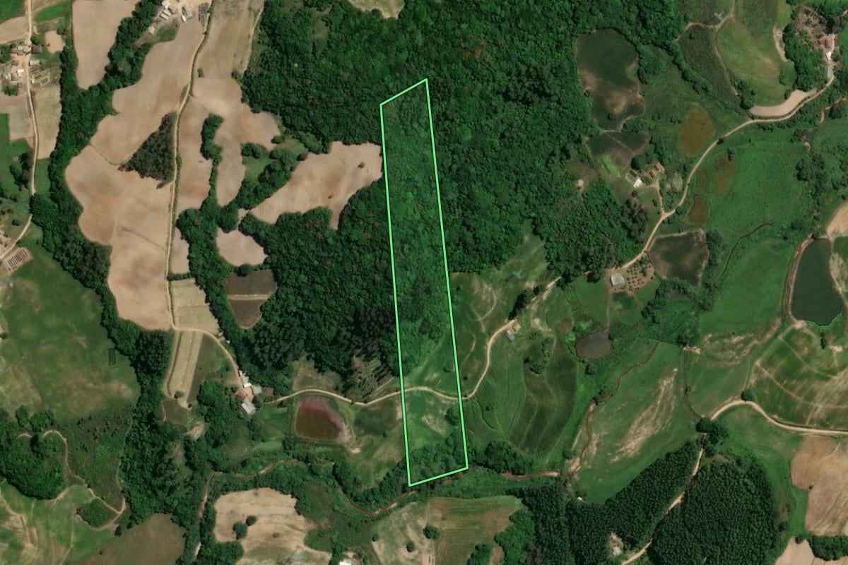 Imagem de satélite do imóvel rural em Chuvisca (RS), com o contorno declarado no CAR desenhado por cima.