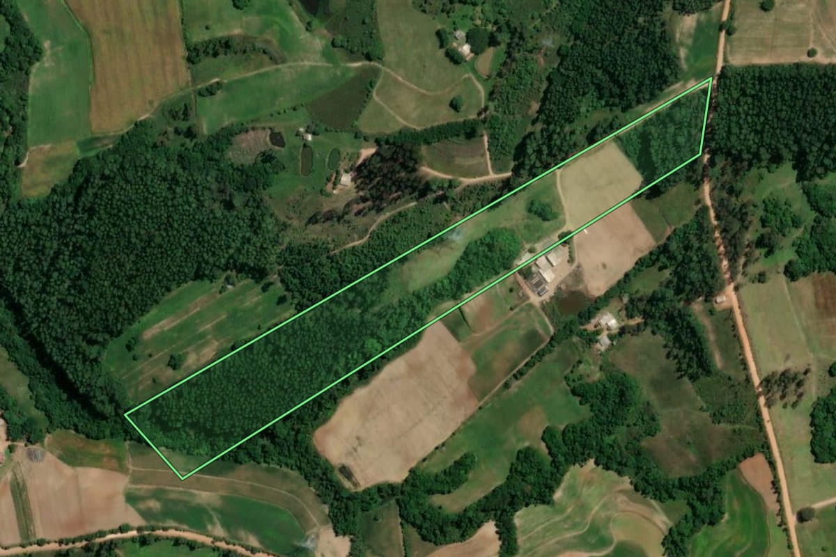 Imagem de satélite do imóvel rural em Chuvisca (RS), com o contorno declarado no CAR desenhado por cima.