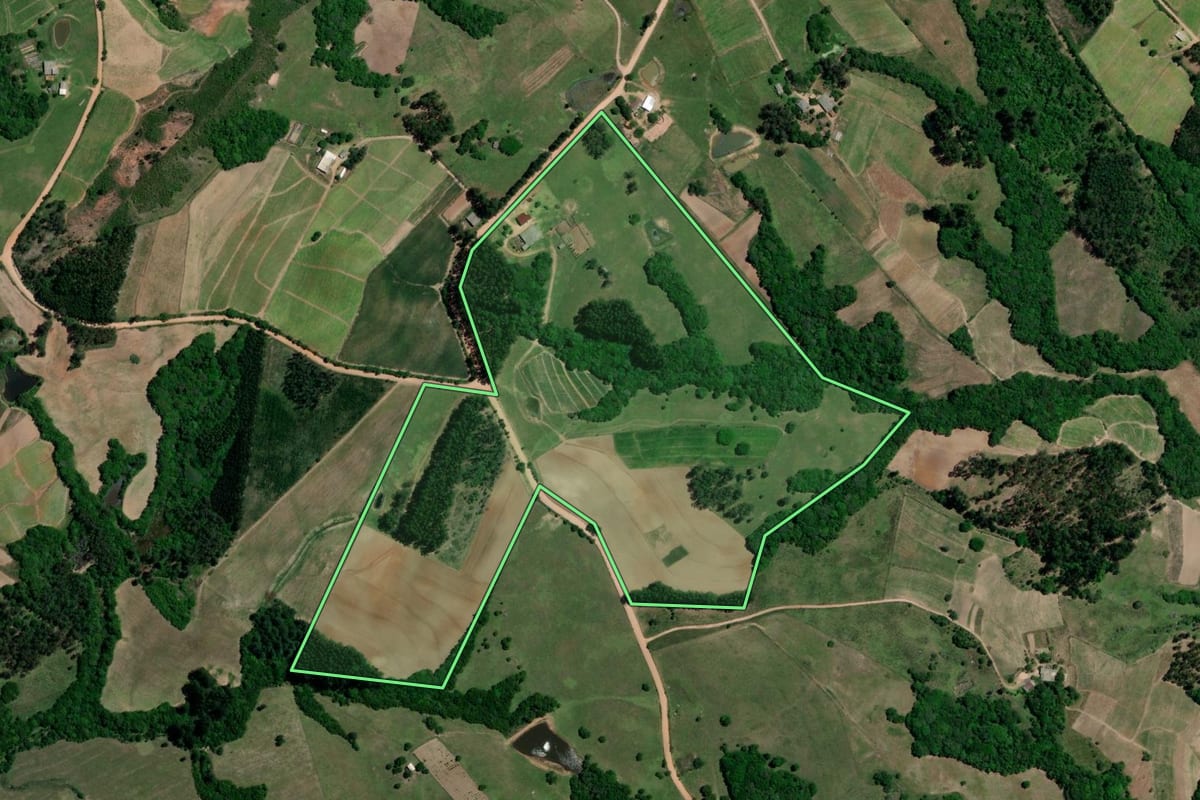 Imagem de satélite do imóvel rural em Chuvisca (RS), com o contorno declarado no CAR desenhado por cima.