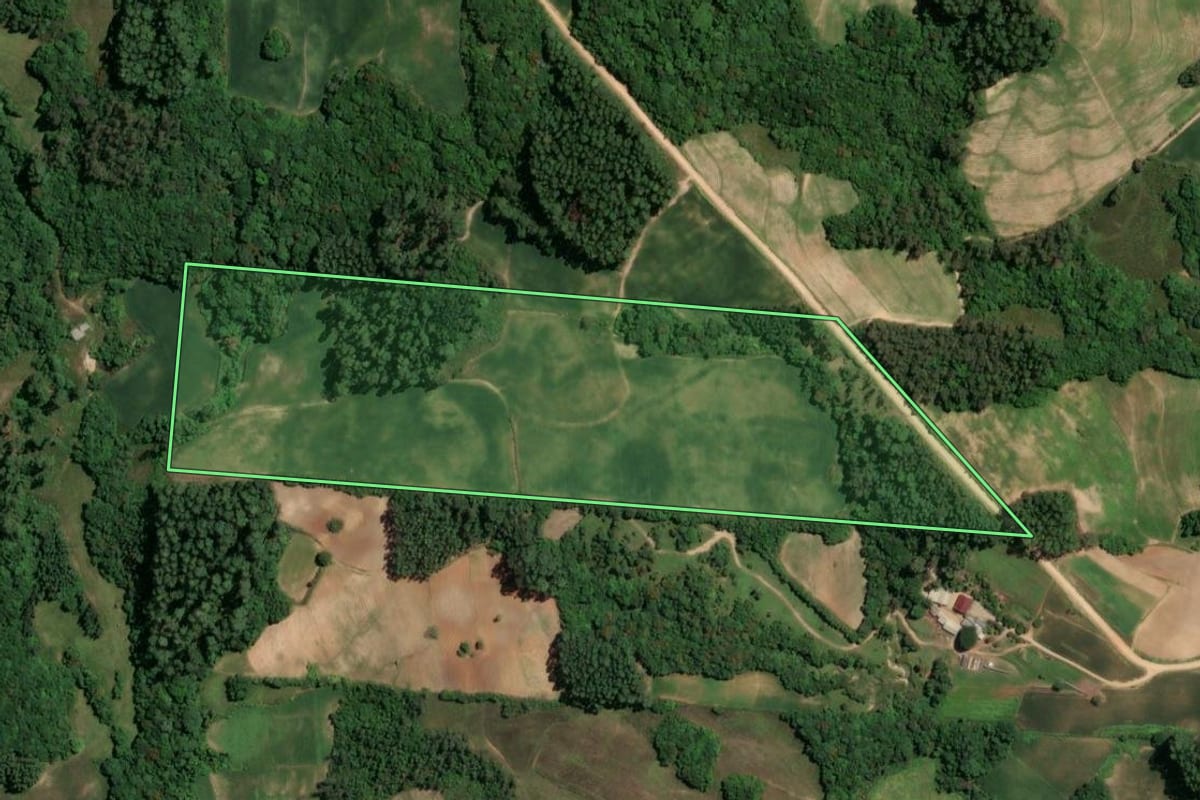 Imagem de satélite do imóvel rural em Chuvisca (RS), com o contorno declarado no CAR desenhado por cima.