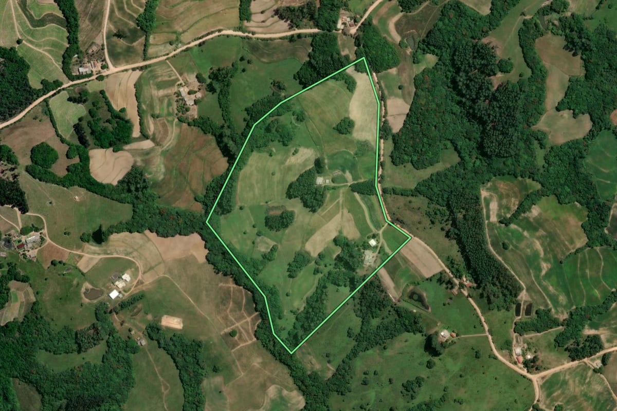 Imagem de satélite do imóvel rural em Chuvisca (RS), com o contorno declarado no CAR desenhado por cima.