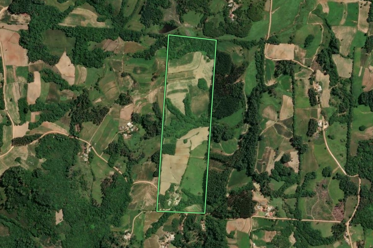 Imagem de satélite do imóvel rural em Chuvisca (RS), com o contorno declarado no CAR desenhado por cima.