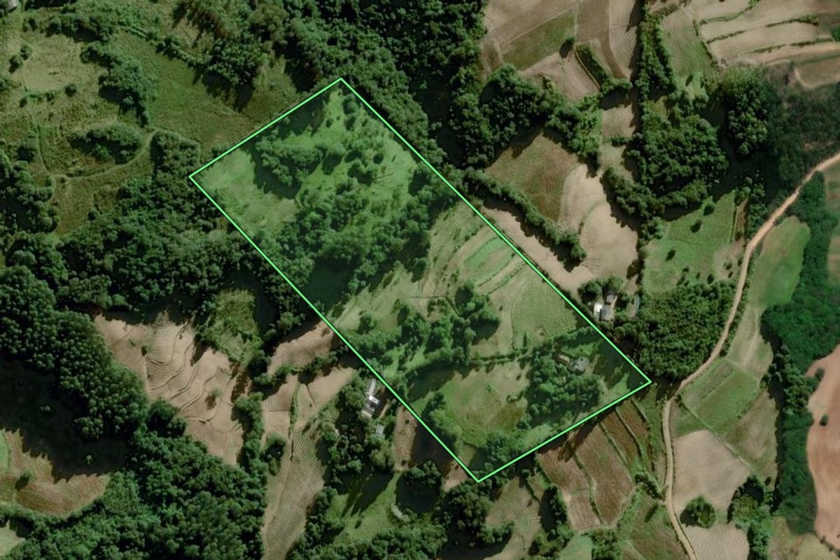 Imagem de satélite do imóvel rural em Chuvisca (RS), com o contorno declarado no CAR desenhado por cima.
