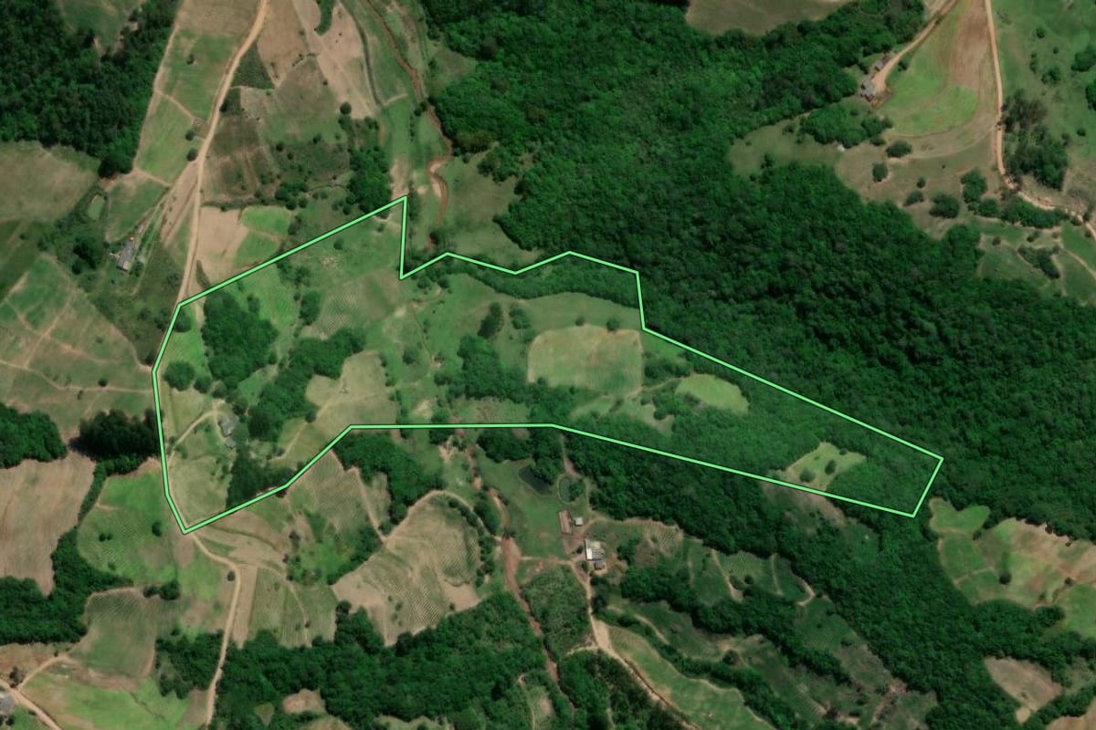 Imagem de satélite do imóvel rural em Chuvisca (RS), com o contorno declarado no CAR desenhado por cima.