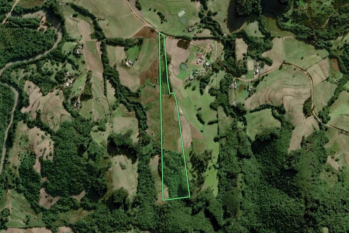 Imagem de satélite do imóvel rural em Chuvisca (RS), com o contorno declarado no CAR desenhado por cima.