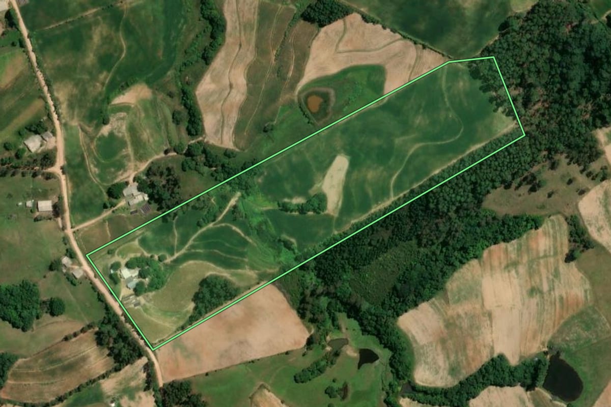 Imagem de satélite do imóvel rural em Chuvisca (RS), com o contorno declarado no CAR desenhado por cima.