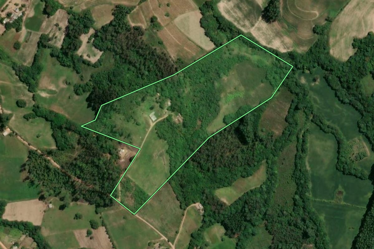 Imagem de satélite do imóvel rural em Chuvisca (RS), com o contorno declarado no CAR desenhado por cima.