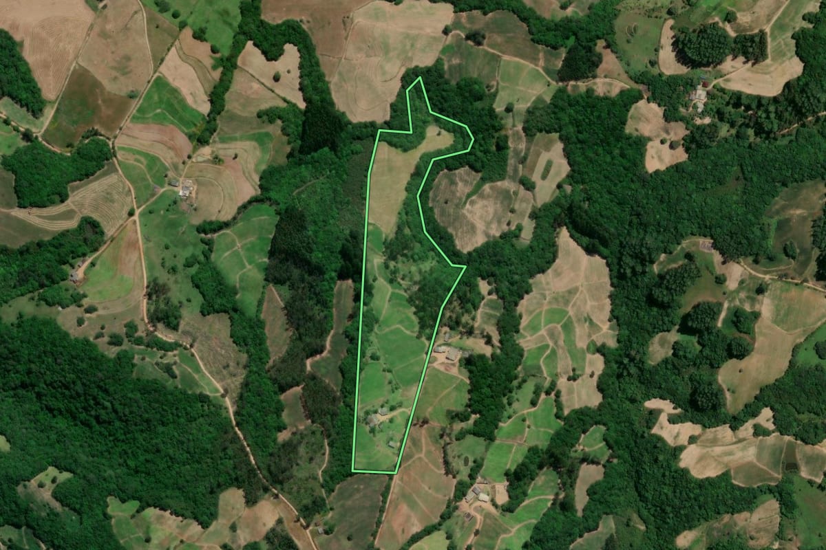Imagem de satélite do imóvel rural em Chuvisca (RS), com o contorno declarado no CAR desenhado por cima.