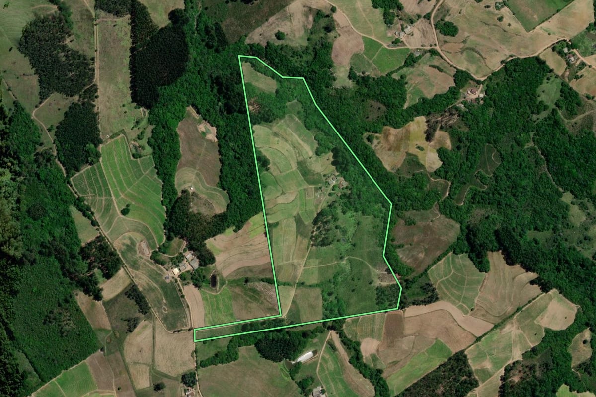 Imagem de satélite do imóvel rural em Chuvisca (RS), com o contorno declarado no CAR desenhado por cima.