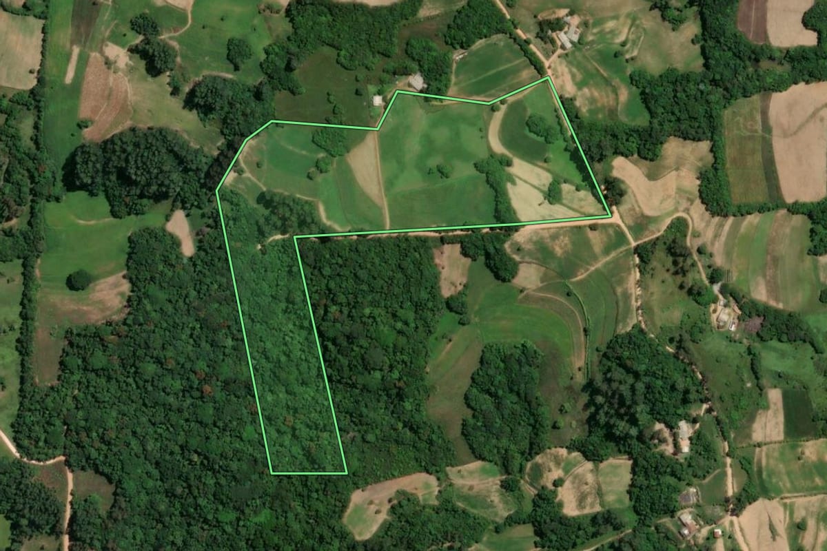 Imagem de satélite do imóvel rural em Chuvisca (RS), com o contorno declarado no CAR desenhado por cima.