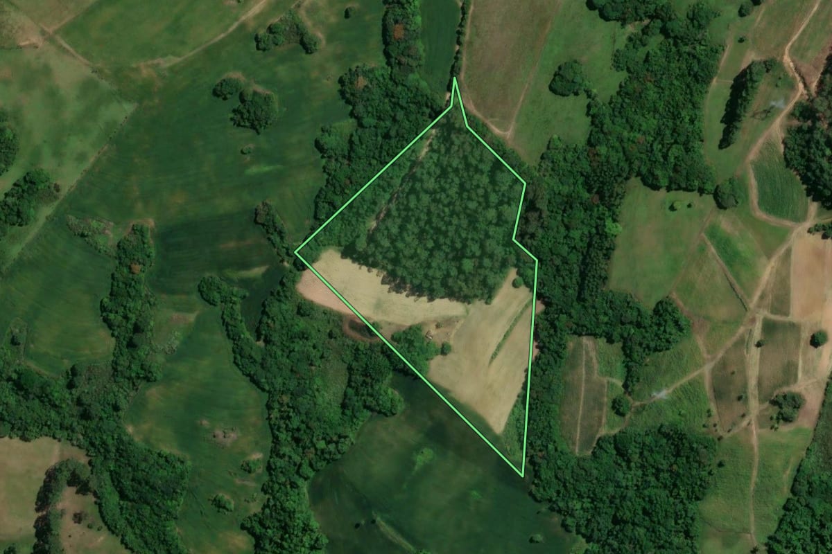 Imagem de satélite do imóvel rural em Chuvisca (RS), com o contorno declarado no CAR desenhado por cima.