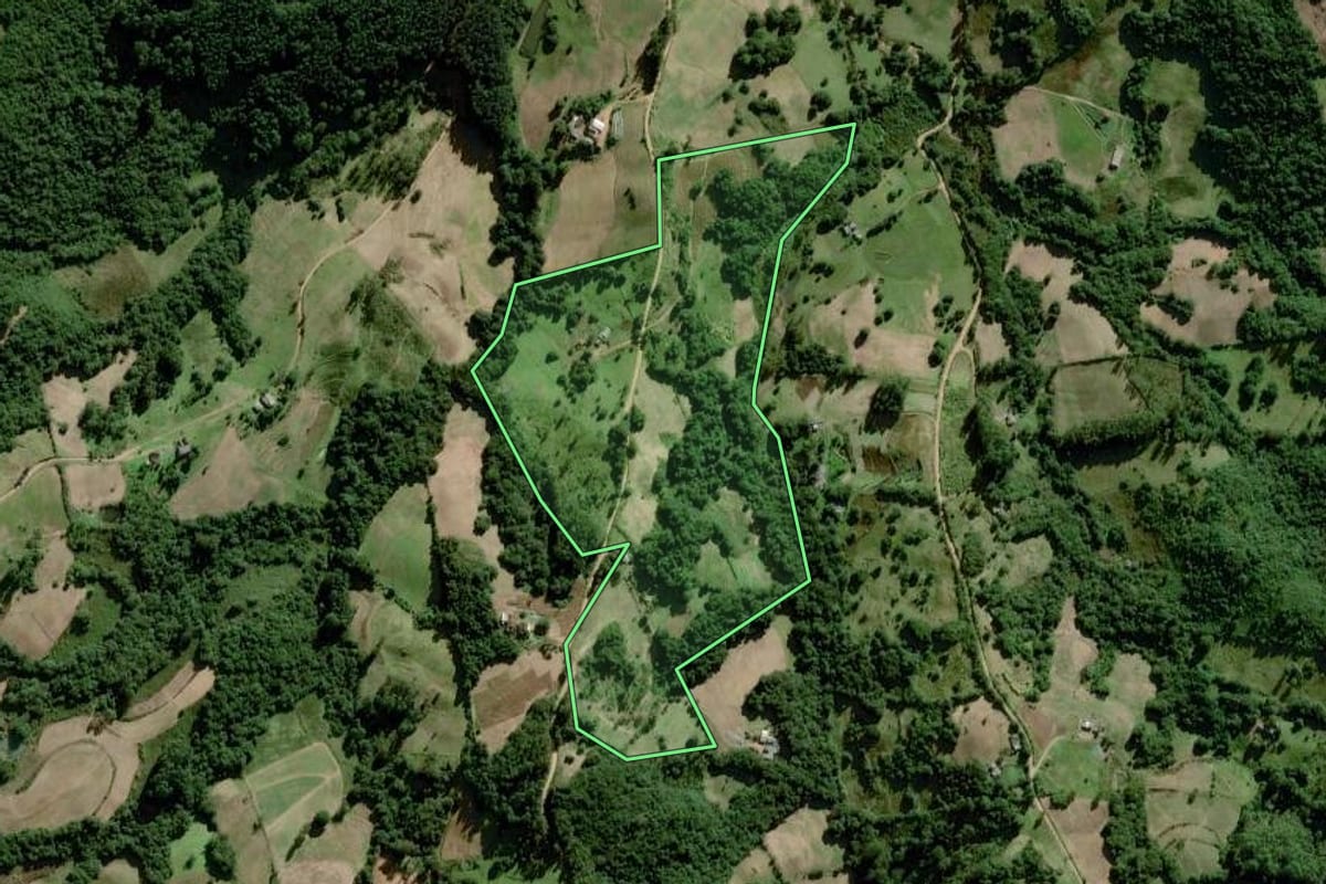 Imagem de satélite do imóvel rural em Chuvisca (RS), com o contorno declarado no CAR desenhado por cima.