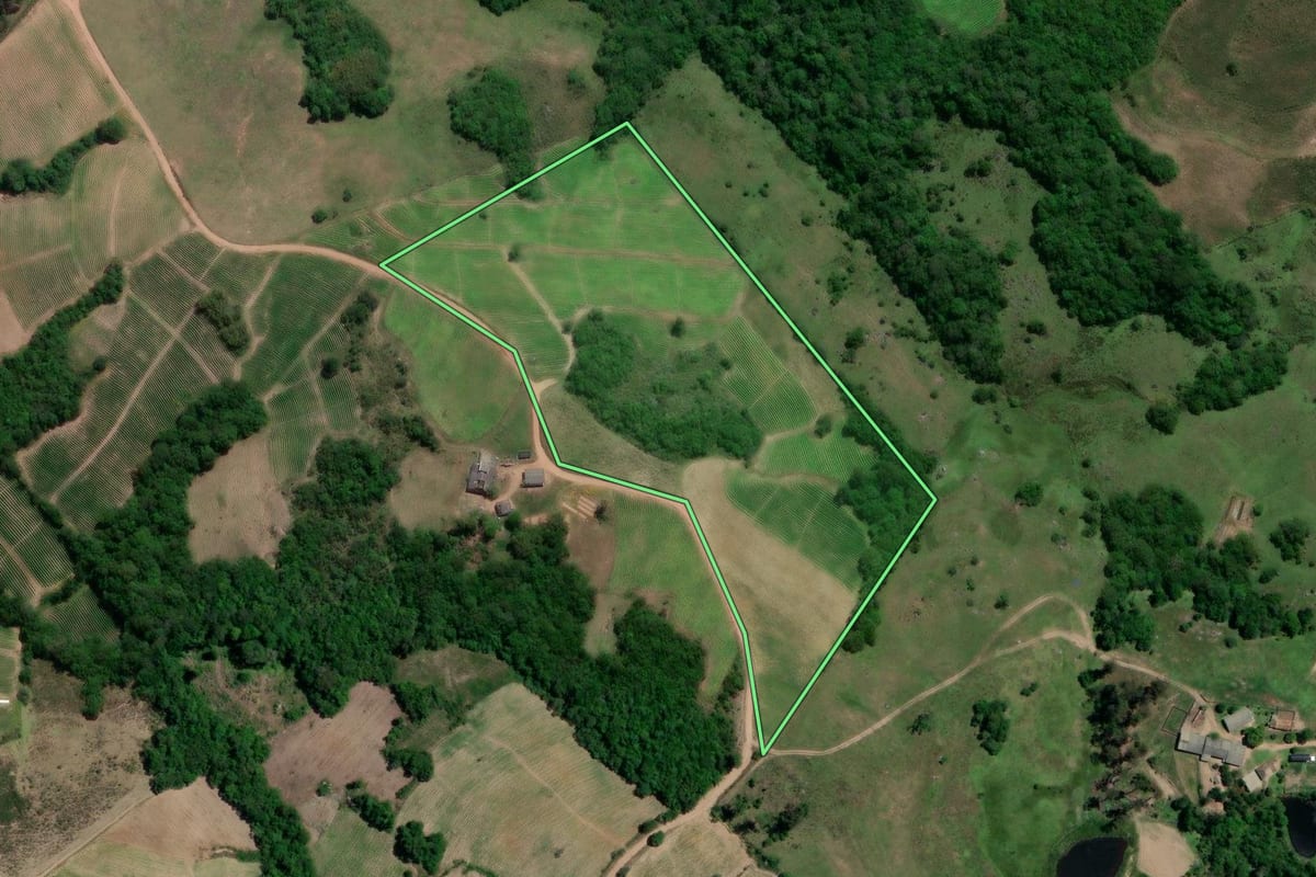 Imagem de satélite do imóvel rural em Chuvisca (RS), com o contorno declarado no CAR desenhado por cima.