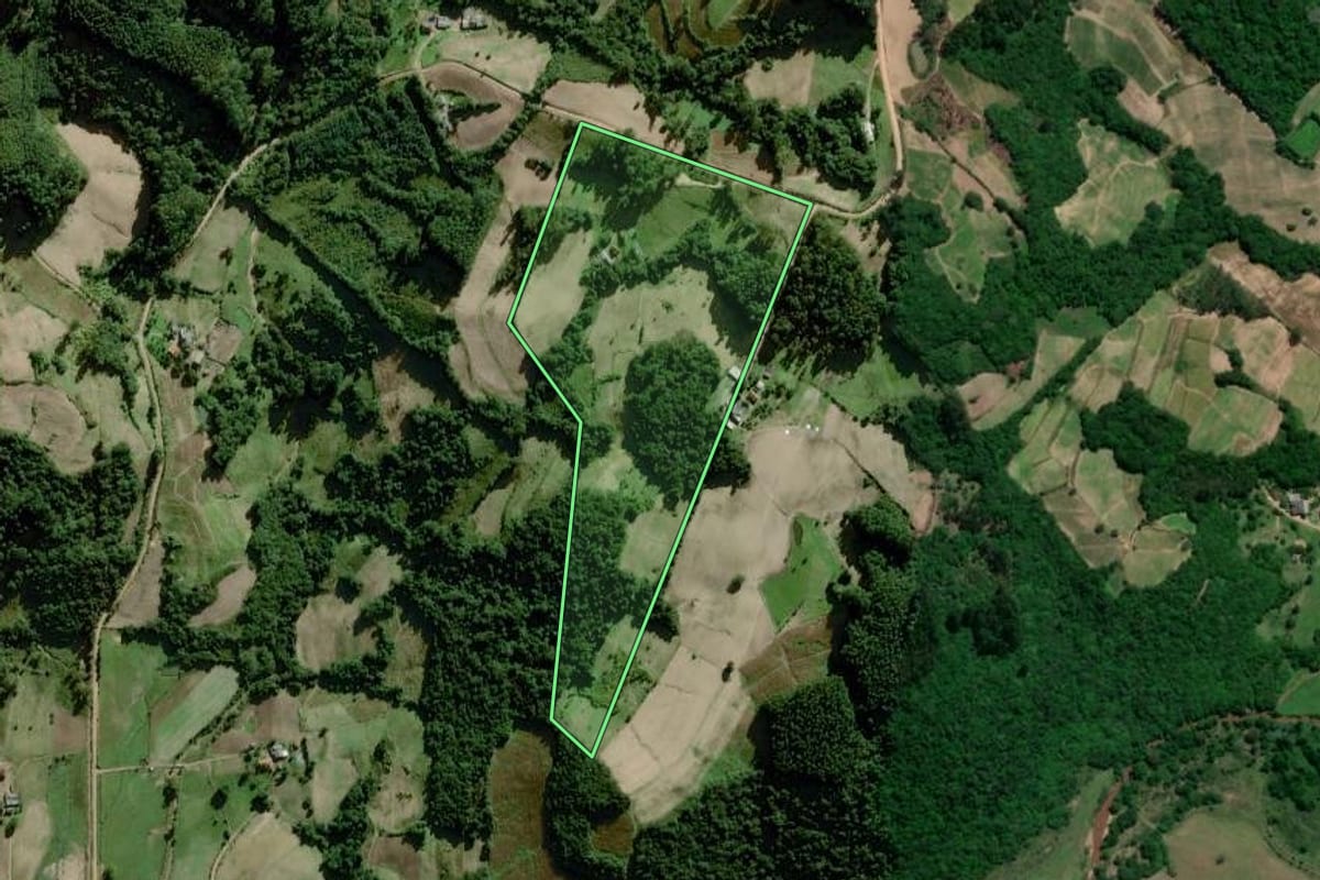 Imagem de satélite do imóvel rural em Chuvisca (RS), com o contorno declarado no CAR desenhado por cima.