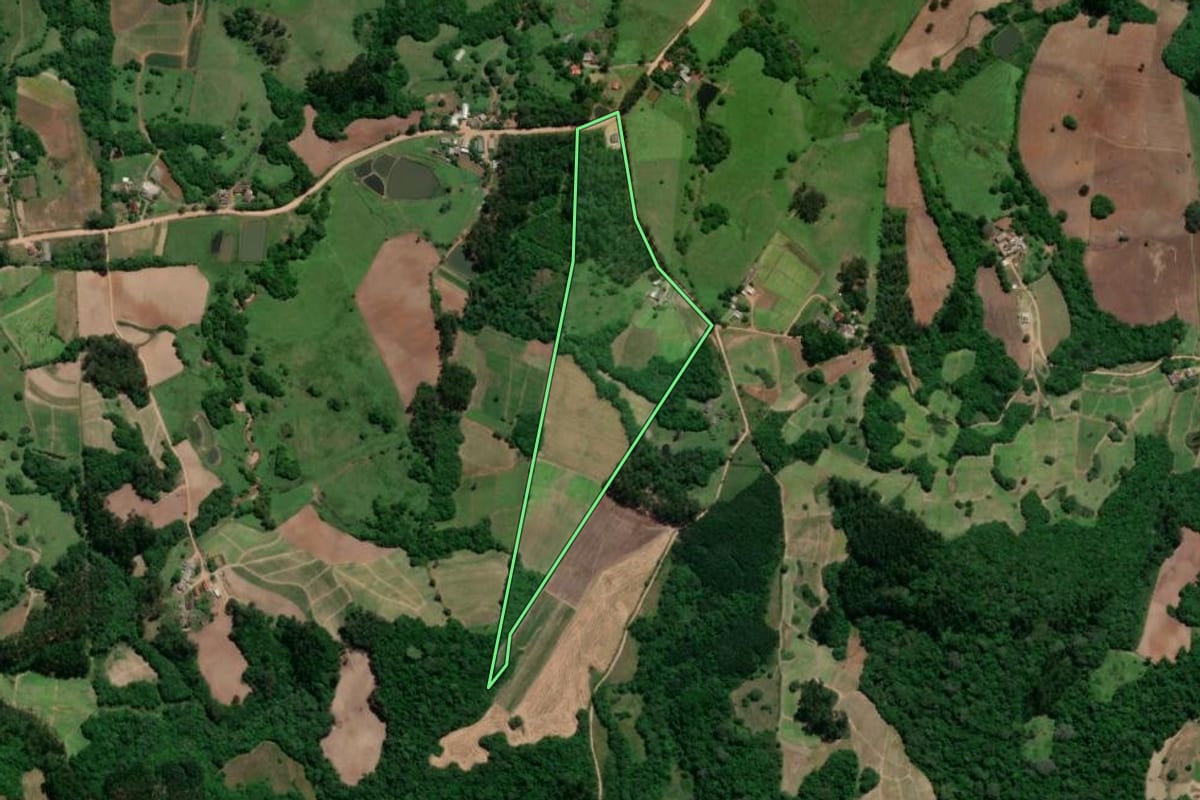 Imagem de satélite do imóvel rural em Chuvisca (RS), com o contorno declarado no CAR desenhado por cima.