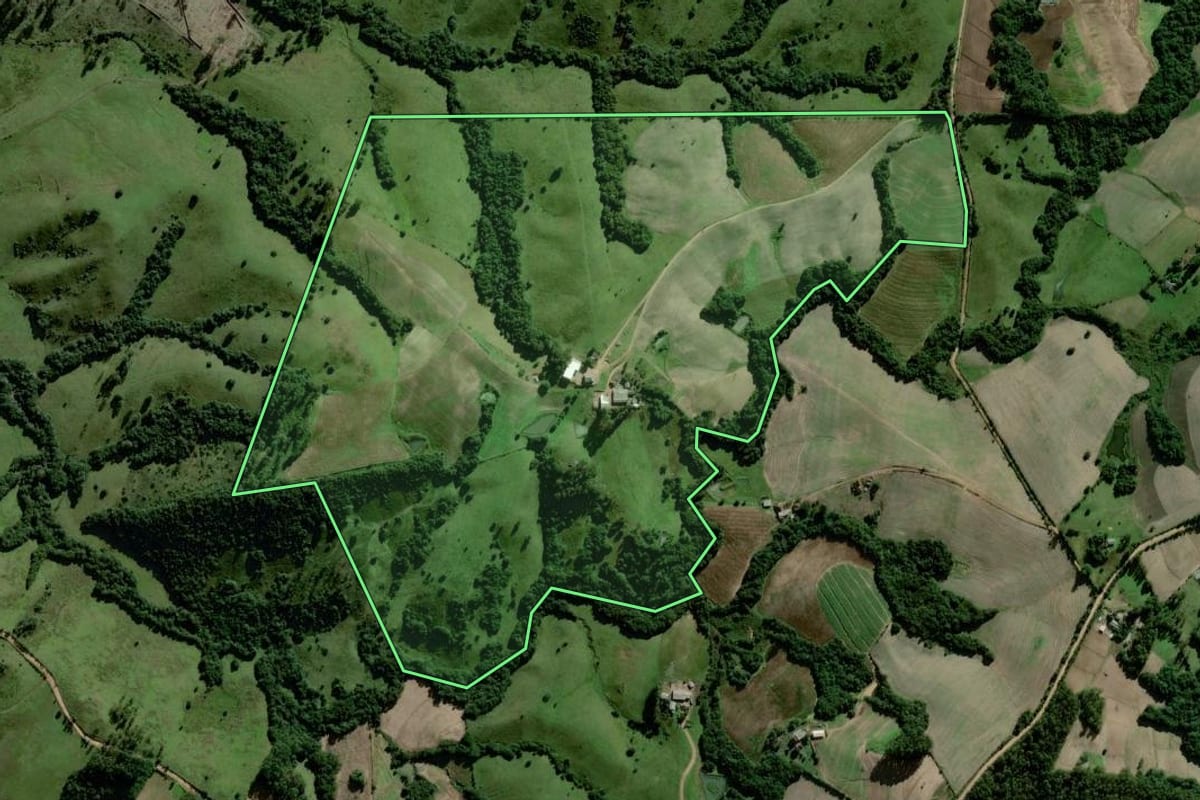 Imagem de satélite do imóvel rural em Chuvisca (RS), com o contorno declarado no CAR desenhado por cima.