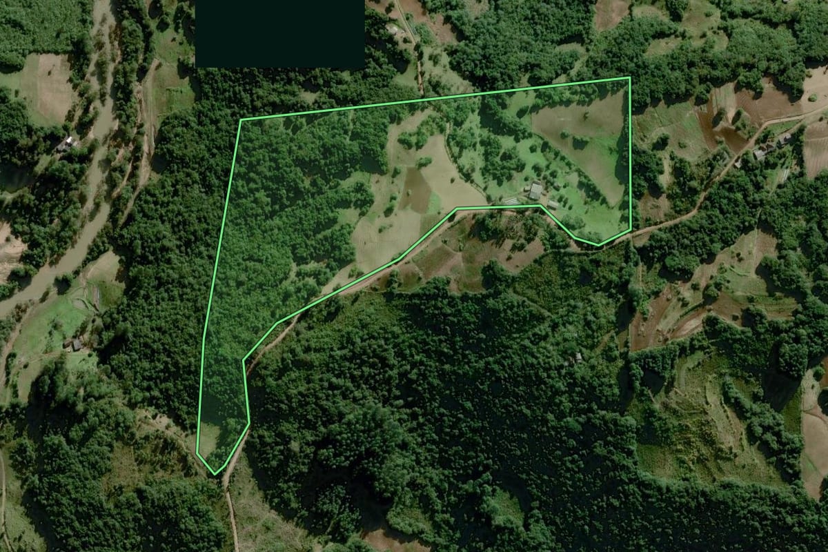 Imagem de satélite do imóvel rural em Chuvisca (RS), com o contorno declarado no CAR desenhado por cima.
