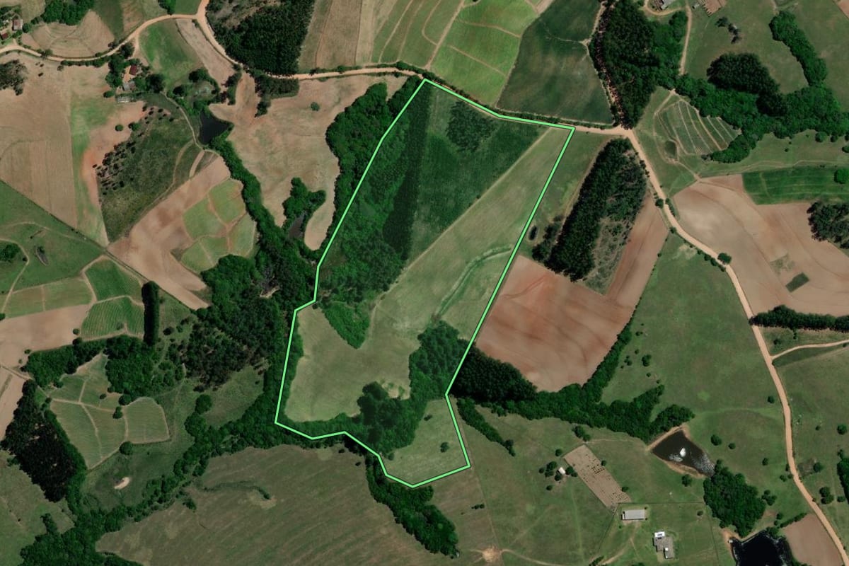 Imagem de satélite do imóvel rural em Chuvisca (RS), com o contorno declarado no CAR desenhado por cima.