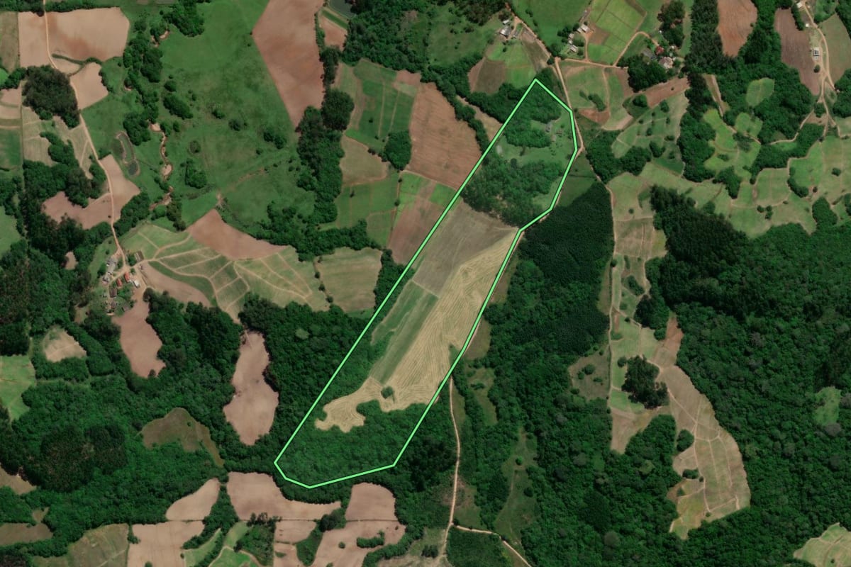 Imagem de satélite do imóvel rural em Chuvisca (RS), com o contorno declarado no CAR desenhado por cima.