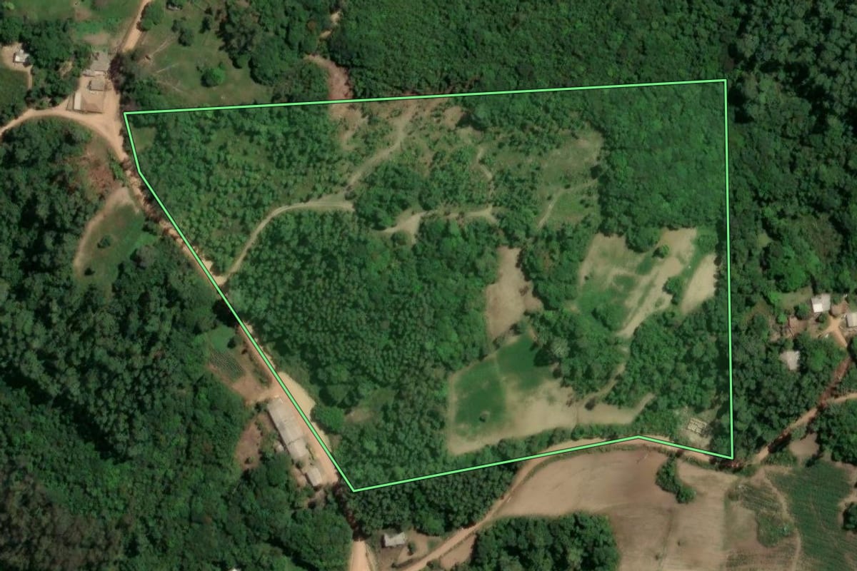 Imagem de satélite do imóvel rural em Chuvisca (RS), com o contorno declarado no CAR desenhado por cima.