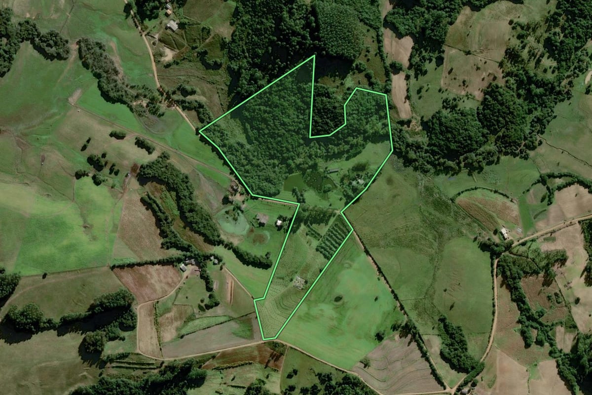 Imagem de satélite do imóvel rural em Chuvisca (RS), com o contorno declarado no CAR desenhado por cima.
