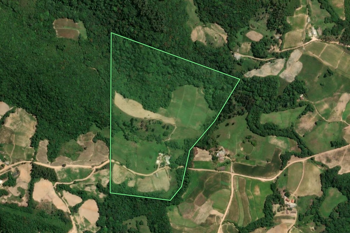 Imagem de satélite do imóvel rural em Chuvisca (RS), com o contorno declarado no CAR desenhado por cima.
