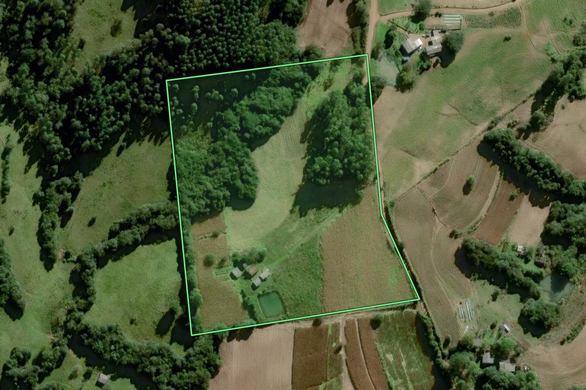 Imagem de satélite do imóvel rural em Chuvisca (RS), com o contorno declarado no CAR desenhado por cima.
