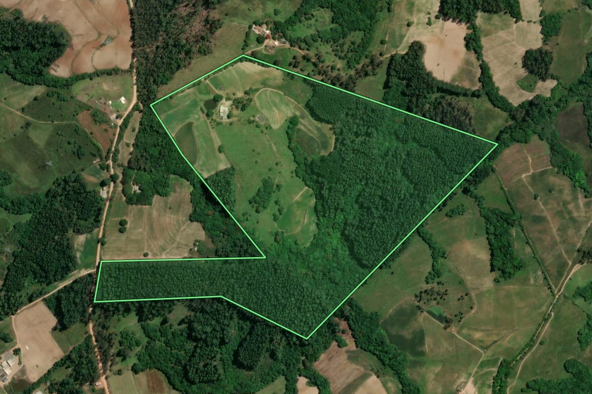 Imagem de satélite do imóvel rural em Chuvisca (RS), com o contorno declarado no CAR desenhado por cima.