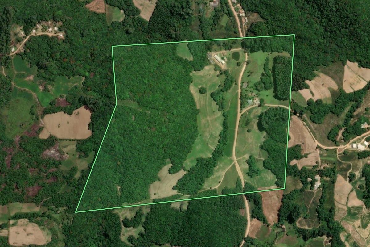 Imagem de satélite do imóvel rural em Chuvisca (RS), com o contorno declarado no CAR desenhado por cima.