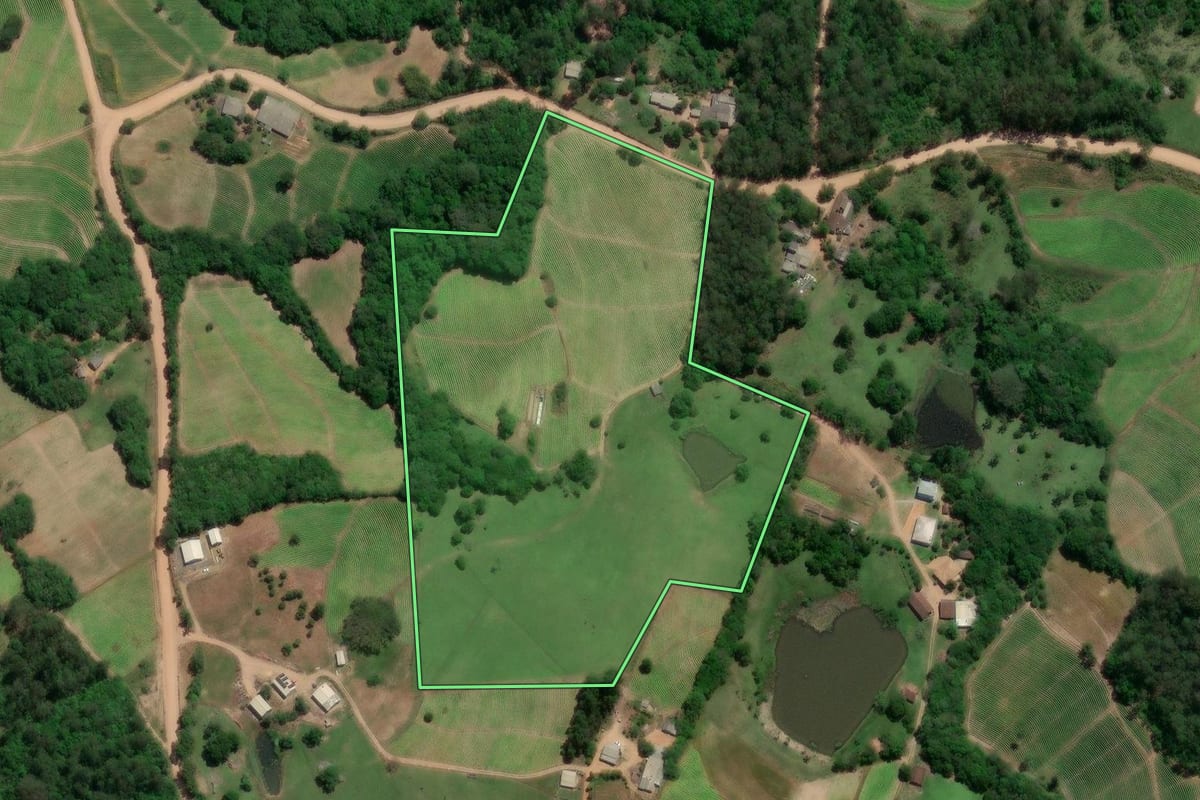 Imagem de satélite do imóvel rural em Chuvisca (RS), com o contorno declarado no CAR desenhado por cima.