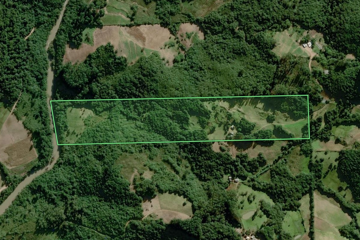 Imagem de satélite do imóvel rural em Chuvisca (RS), com o contorno declarado no CAR desenhado por cima.
