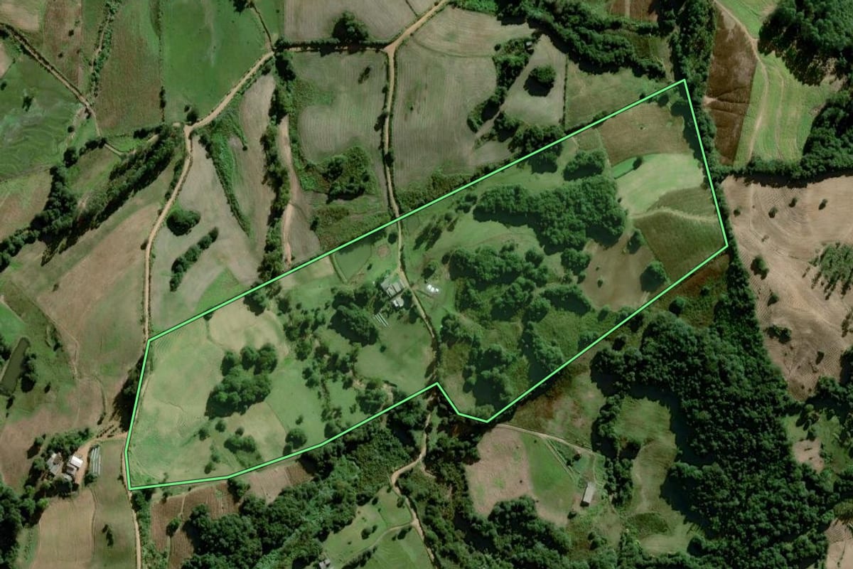 Imagem de satélite do imóvel rural em Chuvisca (RS), com o contorno declarado no CAR desenhado por cima.