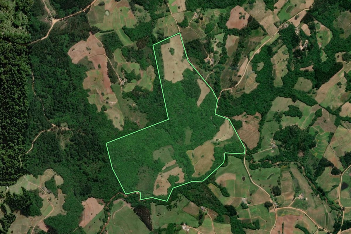 Imagem de satélite do imóvel rural em Chuvisca (RS), com o contorno declarado no CAR desenhado por cima.