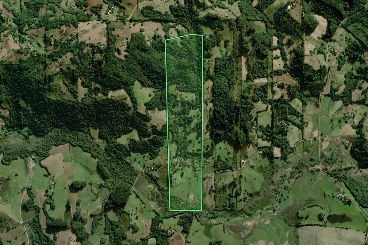 Imagem de satélite do imóvel rural em Chuvisca (RS), com o contorno declarado no CAR desenhado por cima.