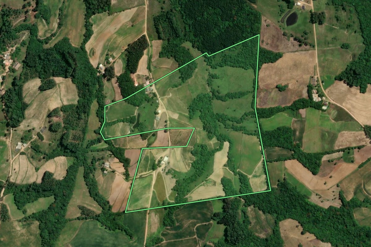 Imagem de satélite do imóvel rural em Chuvisca (RS), com o contorno declarado no CAR desenhado por cima.