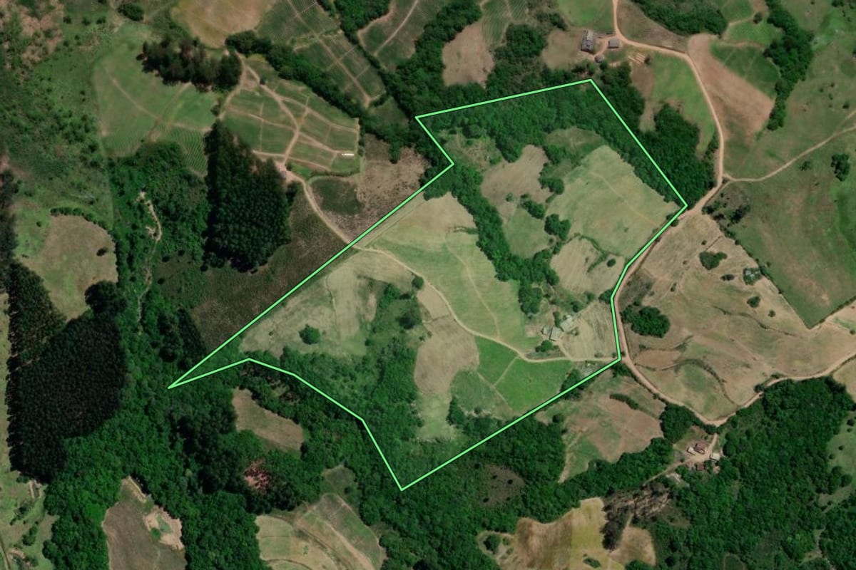 Imagem de satélite do imóvel rural em Chuvisca (RS), com o contorno declarado no CAR desenhado por cima.