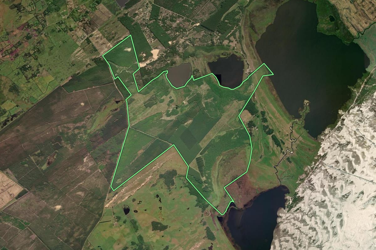 Imagem de satélite do imóvel rural em Cidreira (RS), com o contorno declarado no CAR desenhado por cima.