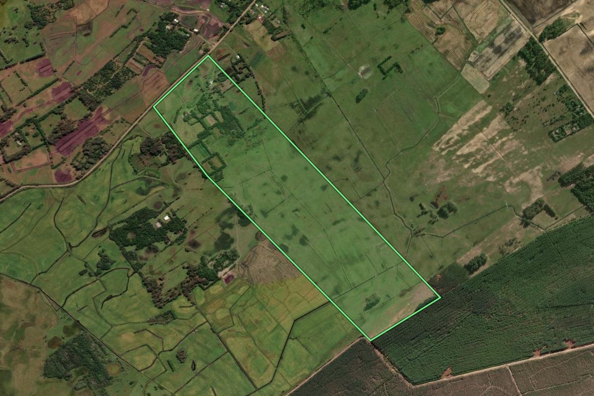 Imagem de satélite do imóvel rural em Cidreira (RS), com o contorno declarado no CAR desenhado por cima.